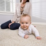 Lexington Home Carpet Cleaning