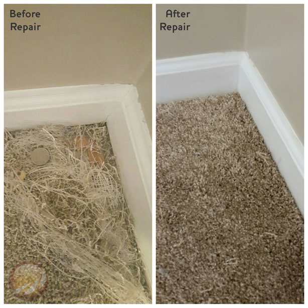 How To Repair Carpet (How To Patch Carpet) 