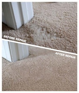 Carpet Repairs