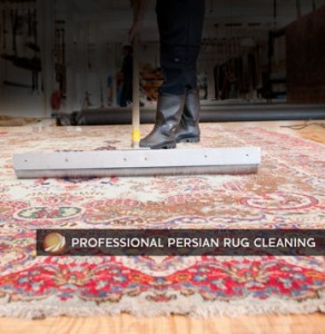 Persian Rug Cleaners